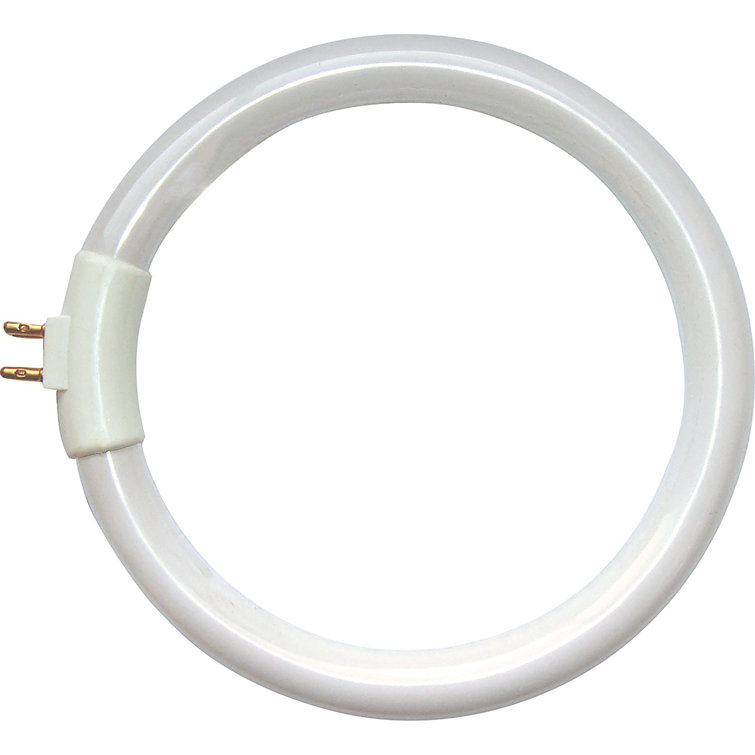 Symple Stuff 12W G10q Compact Fluorescent Ring Light Bulb Wayfair.co.uk